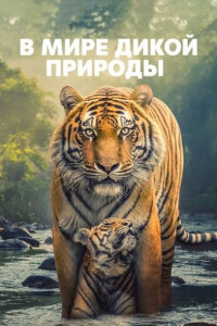 В мире дикой природы смотреть онлайн